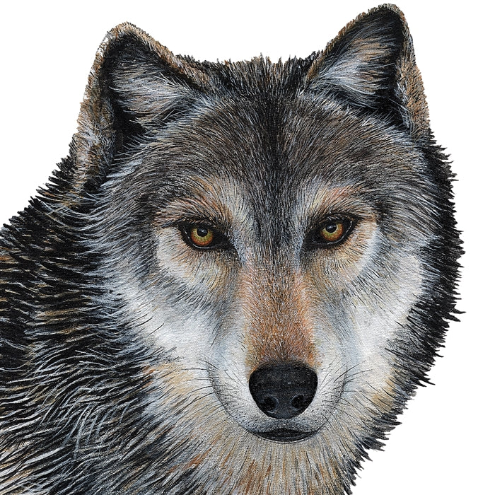 Gray Wolf Wall Decal (30 in. x 34 in.)