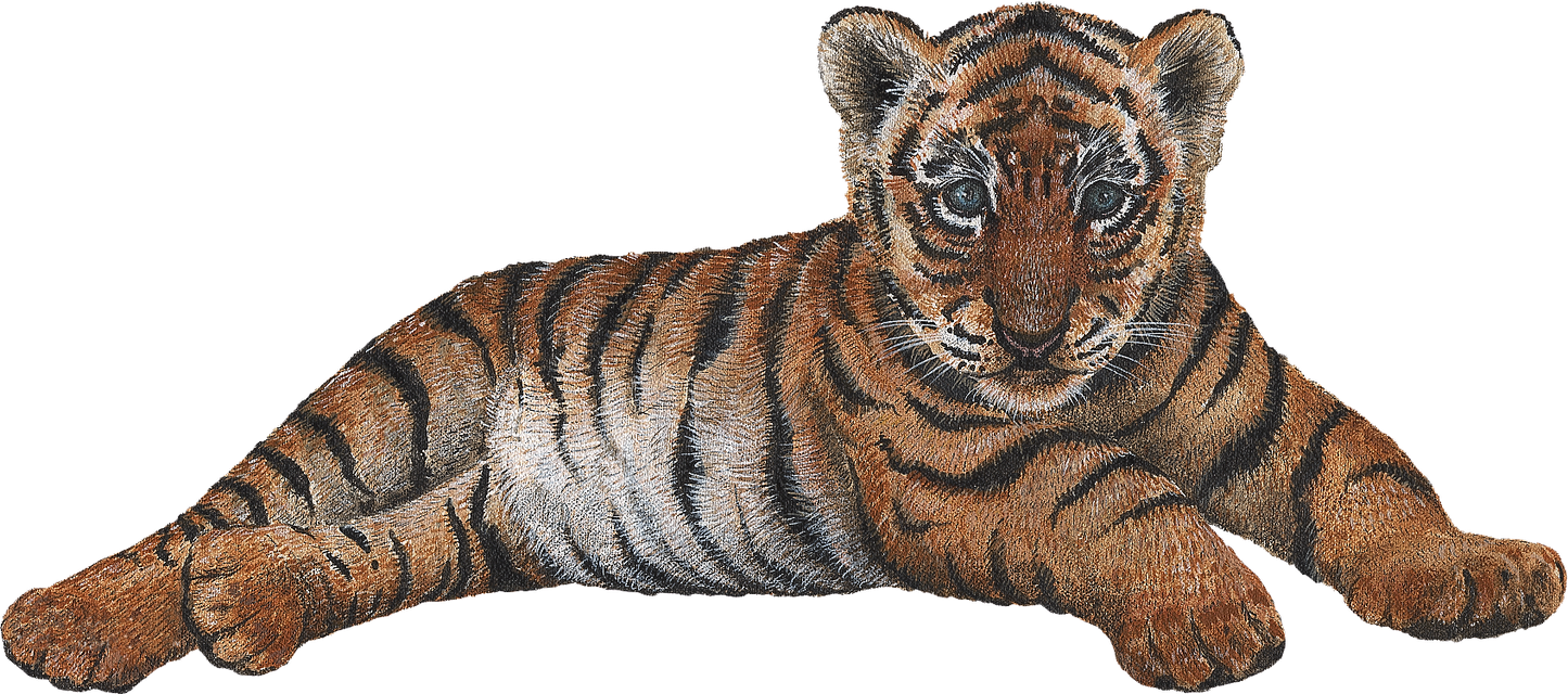 Big Cat Cubs Wall Decals Collection