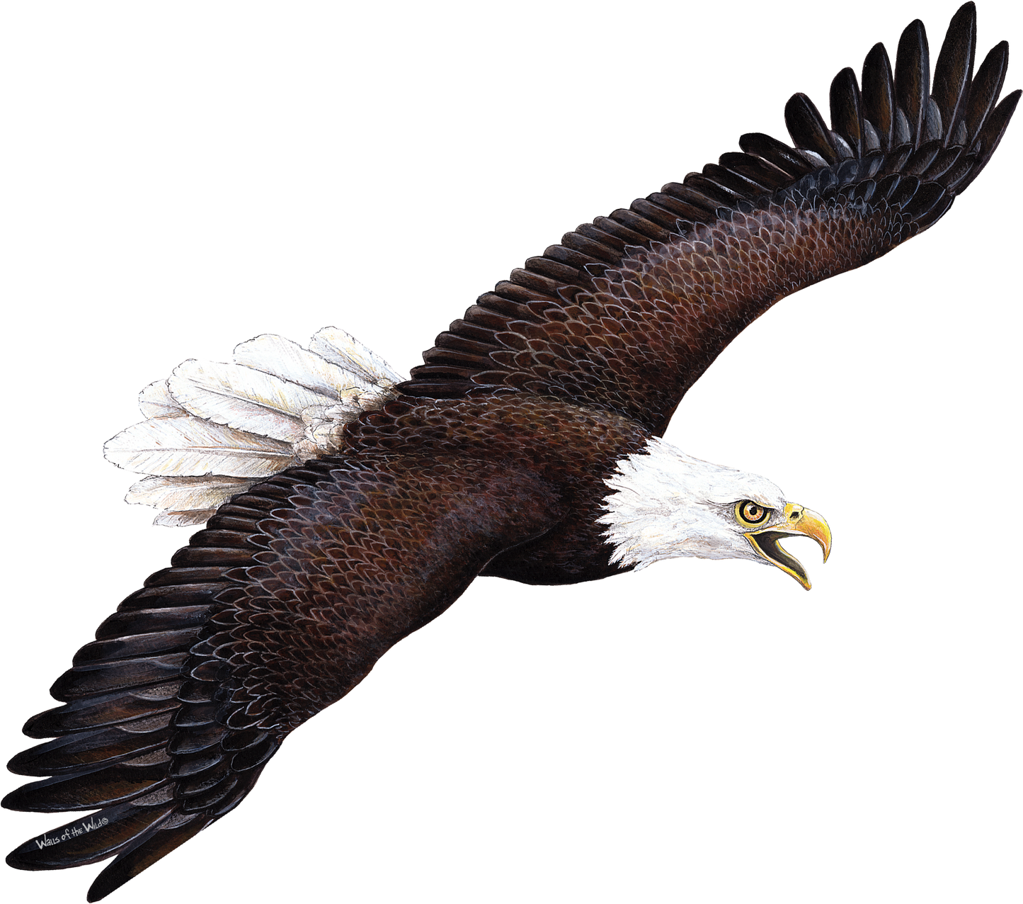 Eagle Wall Decal (28 in. x 14 in.)