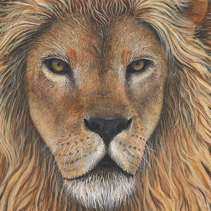 Lion Wall Decal (30 in. x 47 in.)