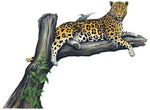 Load image into Gallery viewer, Leopard Wall Decal (Two Sizes)
