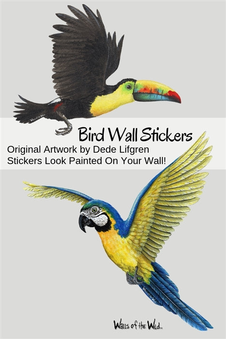 Macaw Wall Decal (16 in. x 17 in.)
