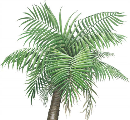 Palm Tree Wall Decal (Large 42 in. x 90 in.)