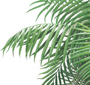 Large Palm Tree Wall Decal (42 in. x 90 in.)