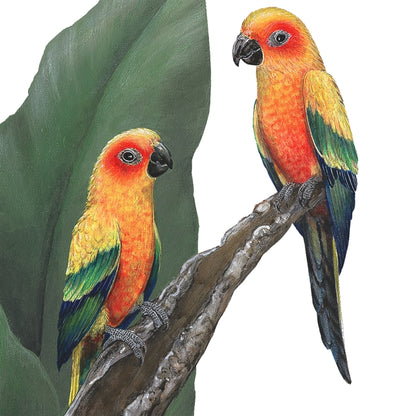 Parrots and Foliage Wall Decal (34 in. x 45 in.)