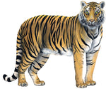 Load image into Gallery viewer, image_655
