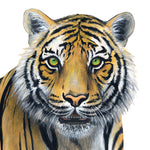 Load image into Gallery viewer, Tiger Wall Decal (38 in. X 32 in.)

