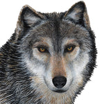Load image into Gallery viewer, Gray Wolf Wall Decal (30 in. x 34 in.)
