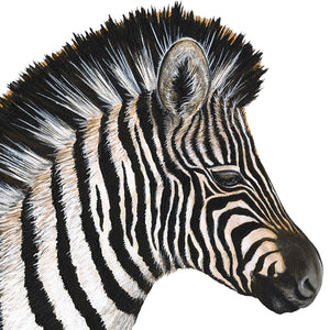 Baby Zebra Wall Decal (32 in. x 40 in.)