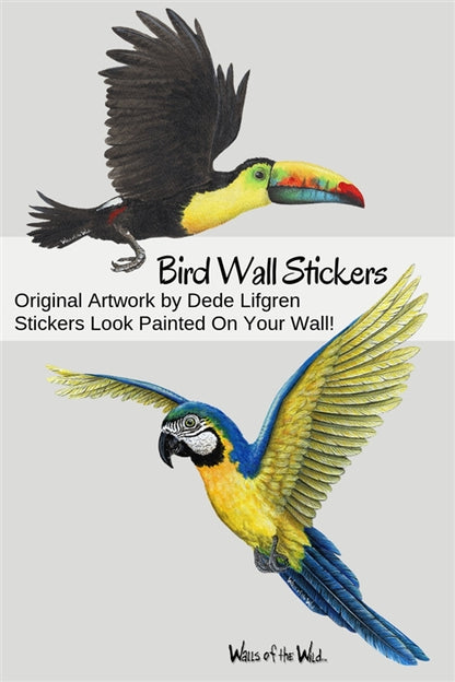 Tropical Birds Wall Decals Collection