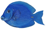Load image into Gallery viewer, Sea Creatures and Tropical Fish Wall Decals Collection (Economy Size 48 in. x 48 in.)
