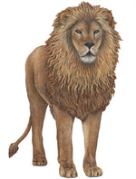 Load image into Gallery viewer, Safari and Jungle Wall Decal Collection (Economy Size 48 in. x 48 in.)
