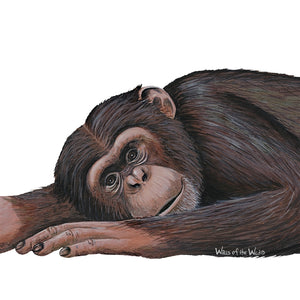 Chimpanzee Wall Decal (28 in. x 10 in.)