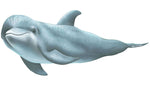 Load image into Gallery viewer, image_709
