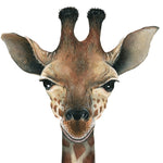 Load image into Gallery viewer, Giraffe Wall Decal (13 in. x 63 in.)
