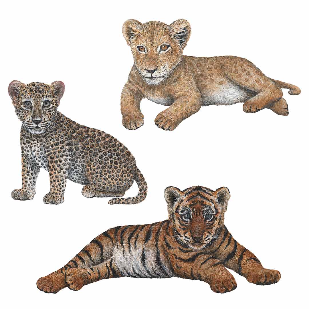 Big Cat Cubs Wall Decals Collection