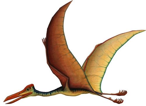 Quetzalcoatl Dinosaur Wall Decal (Three Sizes)