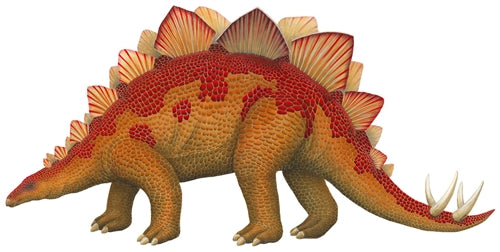 Stegosaurus Dinosaur Wall Decal (Two Sizes)