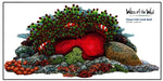 Load image into Gallery viewer, Clownfish Coral Reef Wall Decal (28 in. x 14 in.)
