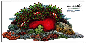 Clownfish Coral Reef Wall Decal (28 in. x 14 in.)
