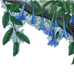 Load image into Gallery viewer, Blue Flower Vine Border Wall Decal (45 in. x 14 in.)
