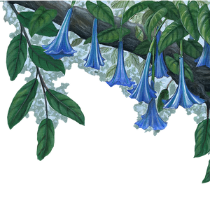 Blue Flower Vine Border Wall Decal (45 in. x 14 in.)