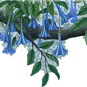 Blue Flower Vine Border Wall Decal (45 in. x 14 in.)